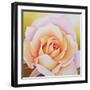 The Rose, 2002-Myung-Bo Sim-Framed Giclee Print