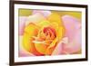 The Rose, 2002-Myung-Bo Sim-Framed Giclee Print