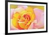 The Rose, 2002-Myung-Bo Sim-Framed Giclee Print