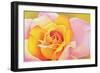 The Rose, 2002-Myung-Bo Sim-Framed Giclee Print