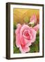 The Rose, 2002-Myung-Bo Sim-Framed Giclee Print