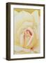 The Rose, 2002-Myung-Bo Sim-Framed Giclee Print