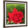 The Rose, 2003-Myung-Bo Sim-Framed Giclee Print