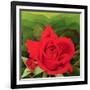 The Rose, 2003-Myung-Bo Sim-Framed Giclee Print