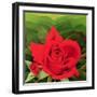 The Rose, 2003-Myung-Bo Sim-Framed Giclee Print