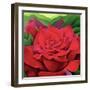 The Rose, 2003-Myung-Bo Sim-Framed Giclee Print