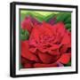 The Rose, 2003-Myung-Bo Sim-Framed Giclee Print