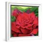 The Rose, 2003-Myung-Bo Sim-Framed Giclee Print