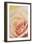 The Rose, 2003-Myung-Bo Sim-Framed Giclee Print