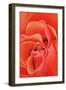 The Rose, 2003-Myung-Bo Sim-Framed Giclee Print