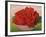 The Rose, 2004-Myung-Bo Sim-Framed Giclee Print