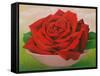 The Rose, 2004-Myung-Bo Sim-Framed Stretched Canvas