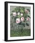 The Rose Bush-Christie Loumand-Framed Giclee Print