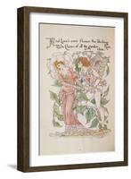 The Rose from 'Flora's Feast'-Walter Crane-Framed Giclee Print