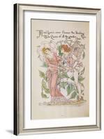 The Rose from 'Flora's Feast'-Walter Crane-Framed Giclee Print