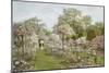 The Rose Garden, Clandon Park, Surrey, England-Thomas H. Hunn-Mounted Giclee Print