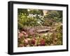 The Rose Garden-Jessica Jenney-Framed Giclee Print