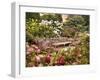 The Rose Garden-Jessica Jenney-Framed Giclee Print