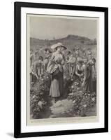 The Rose Harvest at Florence-Herbert Johnson-Framed Giclee Print