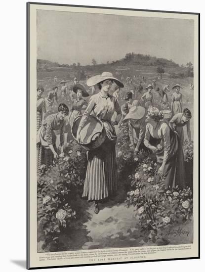 The Rose Harvest at Florence-Herbert Johnson-Mounted Giclee Print