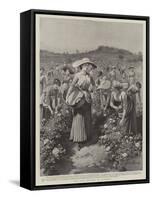 The Rose Harvest at Florence-Herbert Johnson-Framed Stretched Canvas