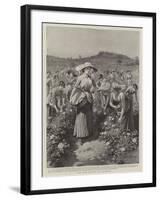 The Rose Harvest at Florence-Herbert Johnson-Framed Giclee Print