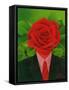 The Rose Man, 2004-Myung-Bo Sim-Framed Stretched Canvas