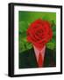 The Rose Man, 2004-Myung-Bo Sim-Framed Giclee Print