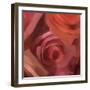 The Rose Maze-Dan Meneely-Framed Art Print