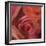 The Rose Maze-Dan Meneely-Framed Art Print