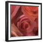 The Rose Maze-Dan Meneely-Framed Art Print