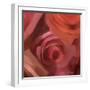 The Rose Maze-Dan Meneely-Framed Art Print