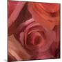 The Rose Maze-Dan Meneely-Mounted Art Print