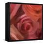 The Rose Maze-Dan Meneely-Framed Stretched Canvas
