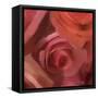 The Rose Maze-Dan Meneely-Framed Stretched Canvas