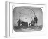 The Rose of the Suir', a Prize-Winning Bullock, Waterford, 1863-J. Pender-Framed Giclee Print