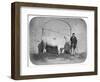 The Rose of the Suir', a Prize-Winning Bullock, Waterford, 1863-J. Pender-Framed Giclee Print