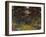 The Rose Path, 1920-22-Claude Monet-Framed Giclee Print