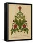 The Rose, Thistle and Shamrock. The Floral Badges of England, Scotland and Ireland-English School-Framed Stretched Canvas