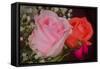 The Rose-Gordon Semmens-Framed Stretched Canvas