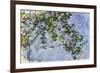 The Roses, 1925-26-Claude Monet-Framed Giclee Print