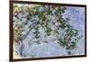 The Roses, 1925-26-Claude Monet-Framed Giclee Print