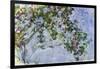 The Roses, 1925-26-Claude Monet-Framed Giclee Print