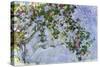The Roses, 1925-26-Claude Monet-Stretched Canvas