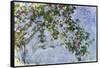 The Roses, 1925-26-Claude Monet-Framed Stretched Canvas