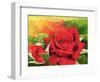 The Roses in the Festival of Light, 2003-Myung-Bo Sim-Framed Giclee Print