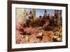 The Roses of Heliogabalus-Sir Lawrence Alma-Tadema-Framed Art Print