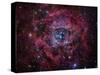 The Rosette Nebula-Stocktrek Images-Stretched Canvas