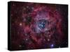 The Rosette Nebula-Stocktrek Images-Stretched Canvas