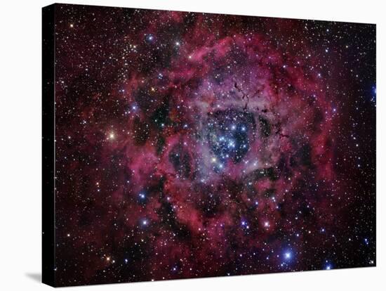 The Rosette Nebula-Stocktrek Images-Stretched Canvas